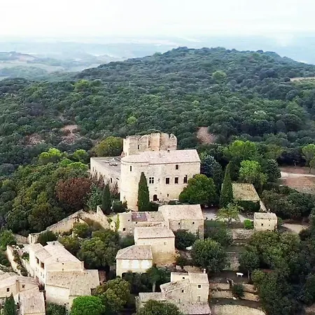 Artist's Chateau With Ruins In Gard * Vénéjan